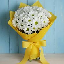 Букет цветов из:  Хризантемы в Гатлукае
