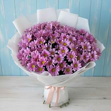 Букет цветов из:  Хризантемы в Гатлукае