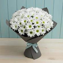Букет цветов из:  Хризантемы в Гатлукае