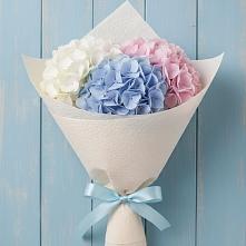 Букет цветов из:  Гортензия в Гатлукае
