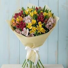 Букет цветов из:  Альстромерии в Гатлукае