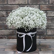 Цветочная композиция из Гипсофила в шляпной коробке в Гатлукае