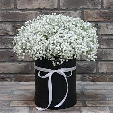 Цветочная композиция из Гипсофила в шляпной коробке в Гатлукае
