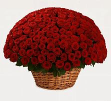 Премиум букет из: Розы в Гатлукае