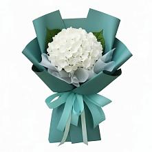 Букет цветов из:  Гортензия #REPLACE_PRED# Гатлукае